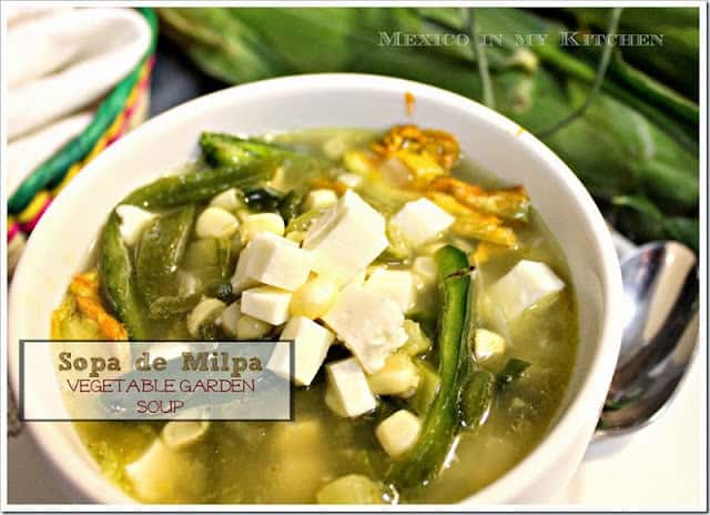 Healthy Mexican Recipes |  Vegetable Garden Soup 