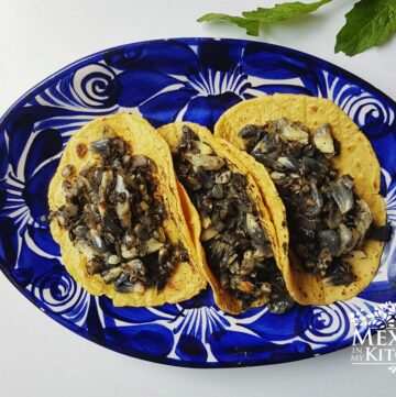 Huitlacoche tacos mexico corn fungus