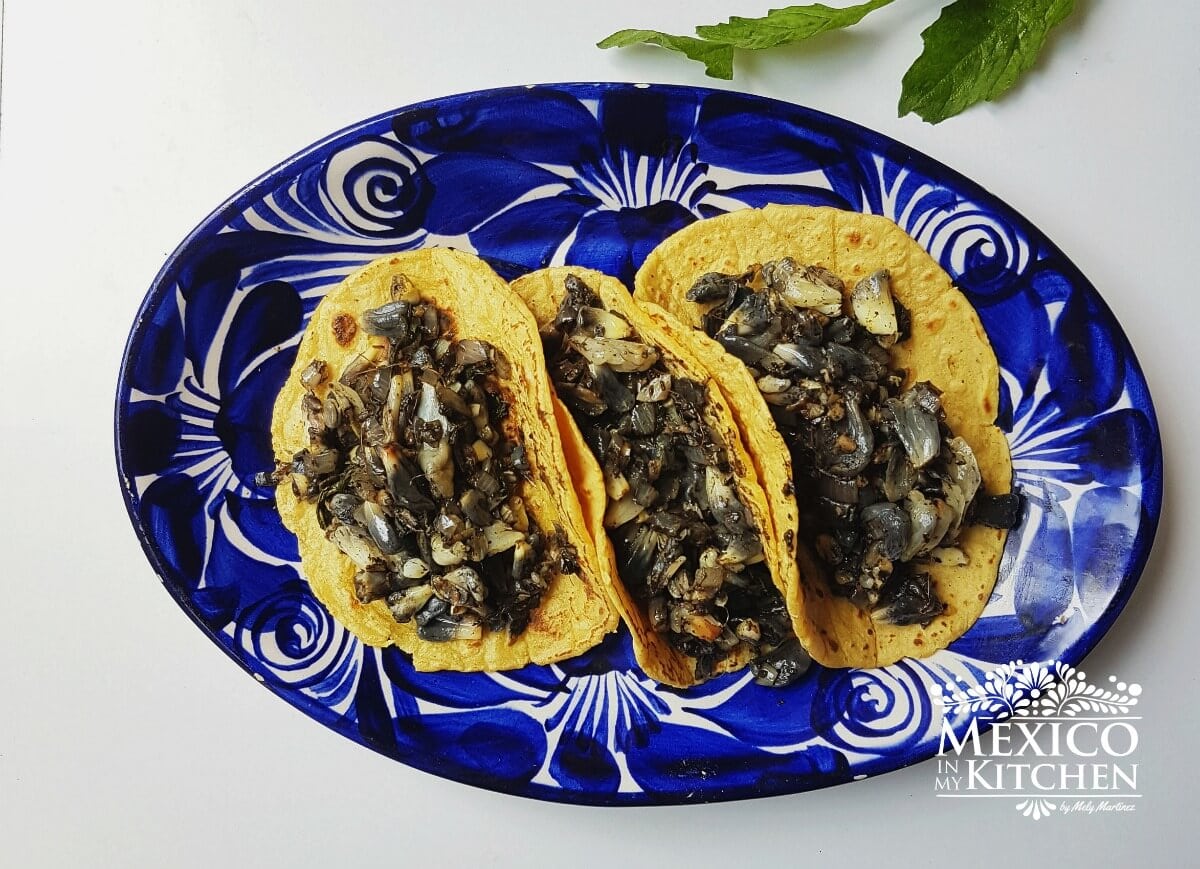 Huitlacoche tacos mexico corn fungus