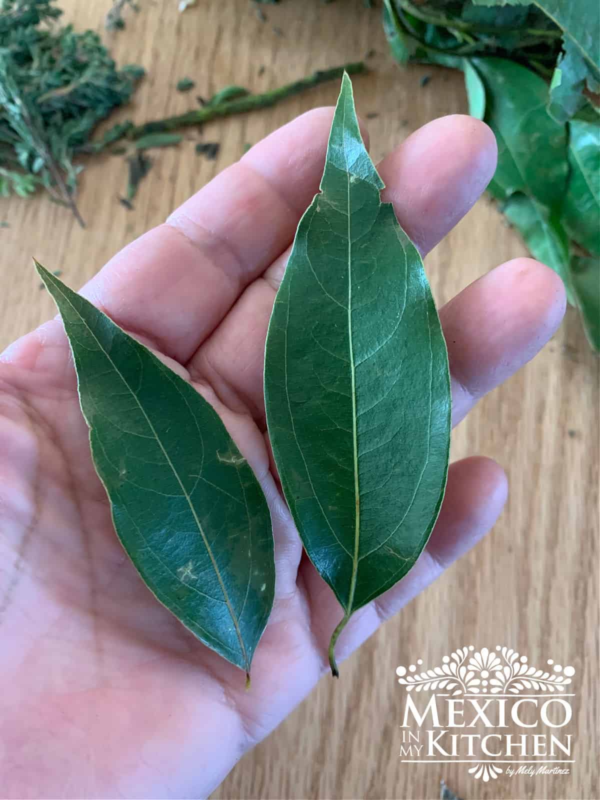 Bay leaves Mexican