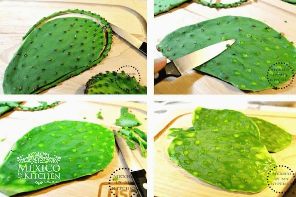 Learn to clean the spines, thorns of the cactus paddles.