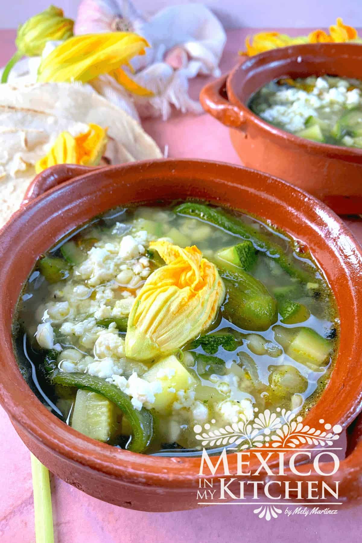 Serving of garden vegetable soup
