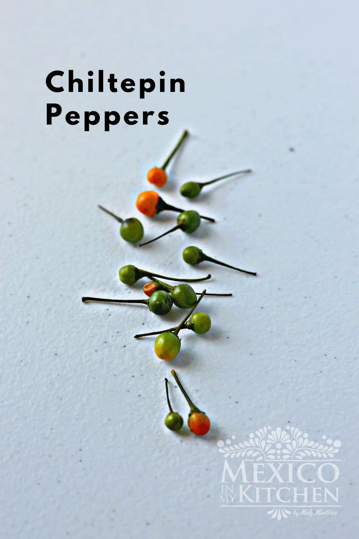 Chiltepin peppers