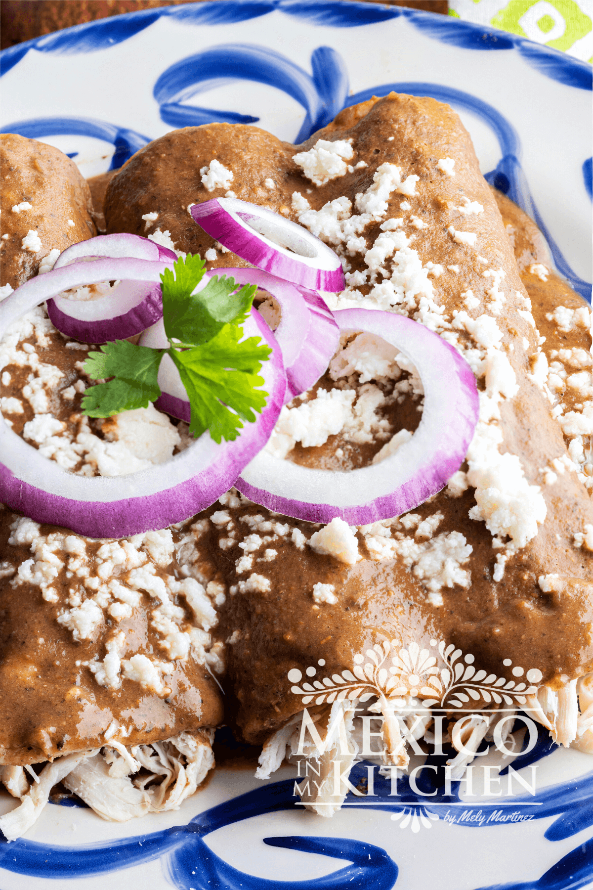 Enfrijoladas served in a plate topped with queso fresco and slices of purple onion.