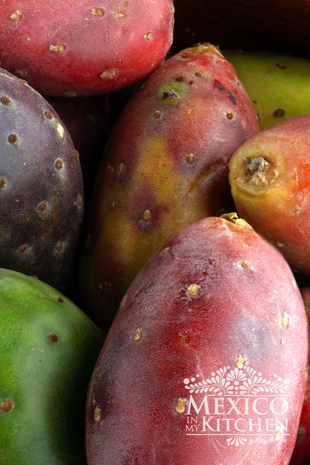 All About Prickly Pear (Tuna)
