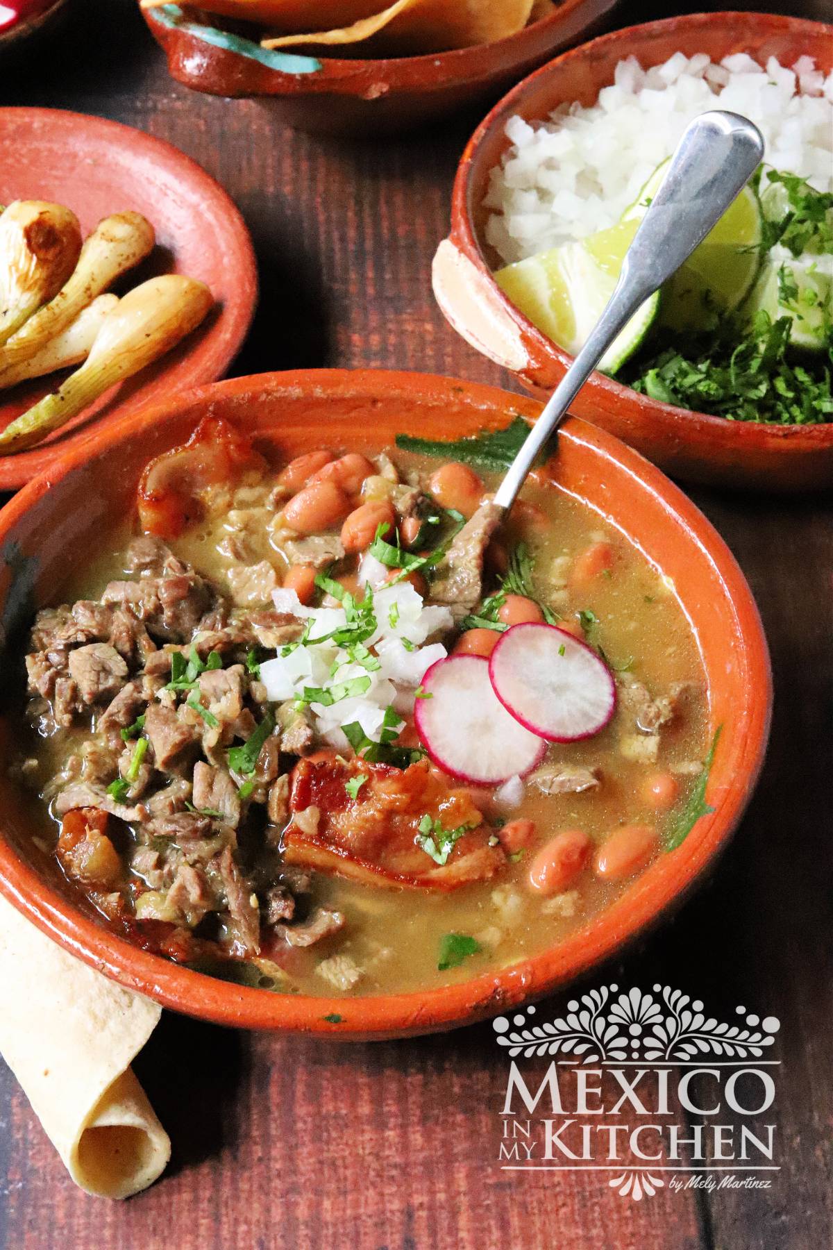 carne en su jugo serve in a bowl next to chopped onions, tostadas and grilled onions.